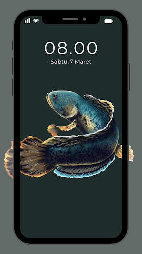 Wallpaper Ikan Channa screenshot 4