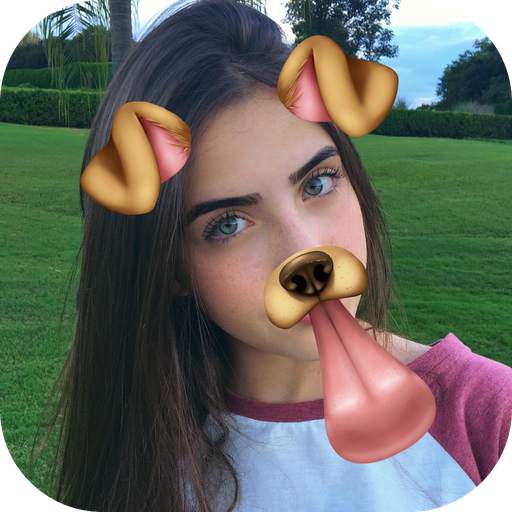 Filters for Musically 2.2.4
