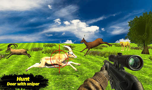 Deer Hunting Adventure-Jungle animal hunter screenshot 10