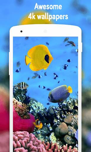 Fish Wallpaper (4k) screenshot 11