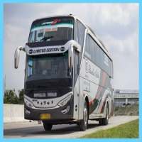 Bus Patas Wallpaper