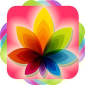Picture Gallery - Photo Gallery & Album - Photo HD 1.0.0