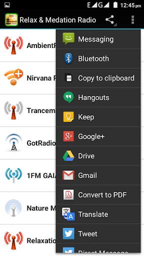 Relax & Medation Radio screenshot 3