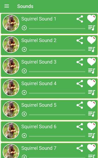 Squirrel Sounds screenshot 1
