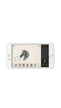 Animal 4D  Lite screenshot 3