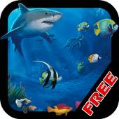Hungry Sea Shark 1.0.0