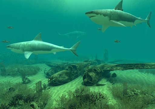 Sharks 3D - Live Wallpaper screenshot 11