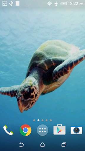 Turtle 3D Live Wallpaper screenshot 6