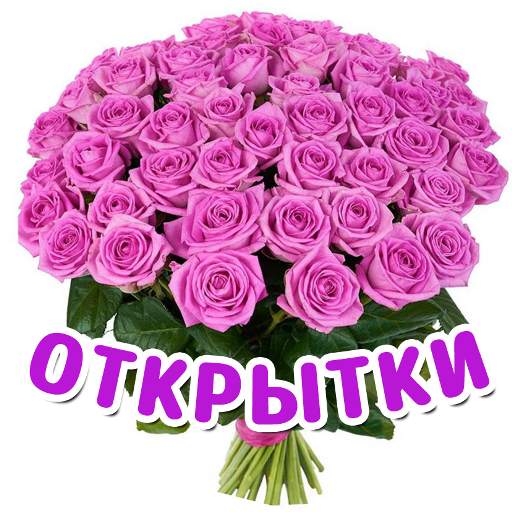 Открытки на все случаи жизни 1.41