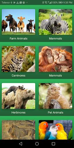 Animals sounds – learning animals and birds names screenshot 3