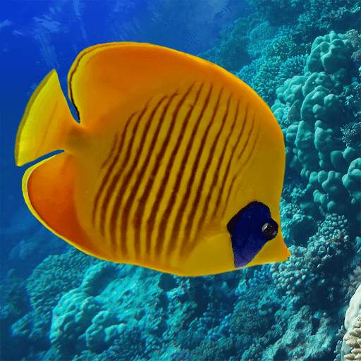 Fish Jigsaw Puzzles screenshot 1