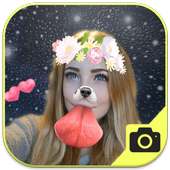 Face Camera Stickers logo