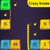 Crazy Snake - Snake vs Block icon