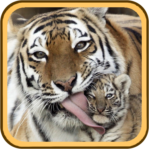 Animal Family Sounds icon