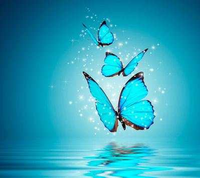 Butterfly Wallpapers Share 3 تصوير الشاشة
