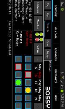 Bossy screenshot 9