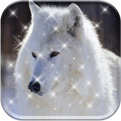 Wallpaper wolf HD обои волк иконка