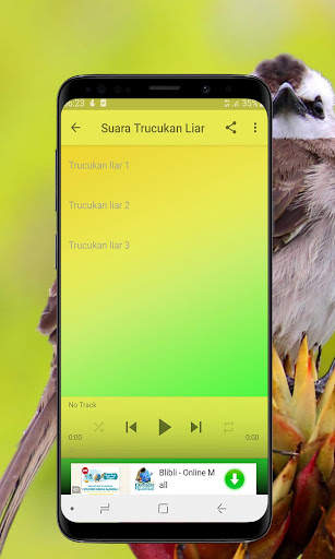 Kicau Burung Trucukan Offline screenshot 4