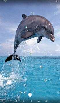 Dolphin Live Wallpaper screenshot 11