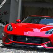 Driving Ferrari Simulator 3D logo