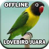 Suara Burung Lovebird Juara on 9Apps