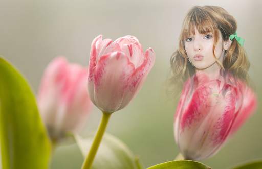 Tulips Photo Frames screenshot 5