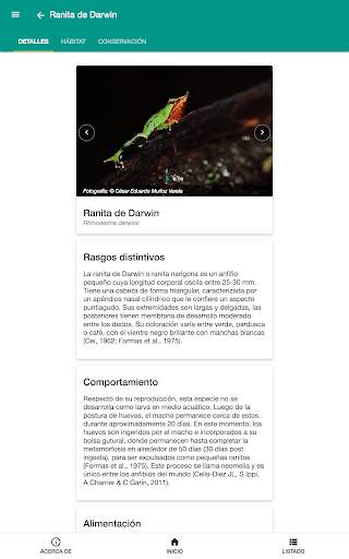 Fauna chilena screenshot 13