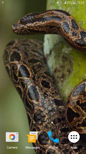 Snake Live Wallpaper screenshot 7