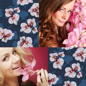 Orchid Photo Collage 1.3