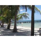 Travel Ambergris Caye Belize logo