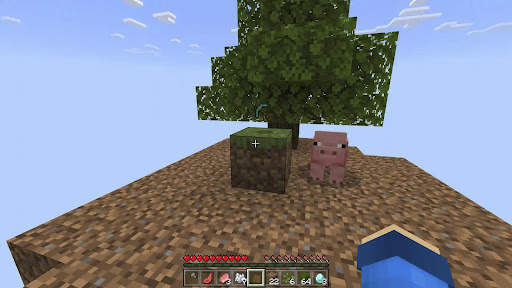 One Block Map for Minecraft screenshot 4