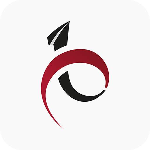 Passageiro de Primeira 1.1.6