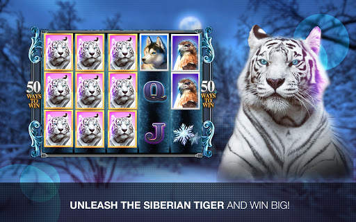 Slots Super Tiger Casino Slots screenshot 10