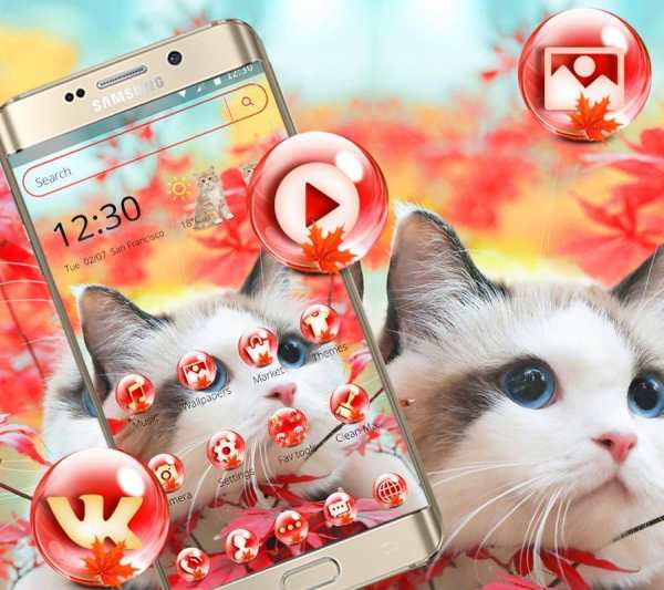 Pink Cute Kitty Theme screenshot 1