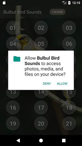 Bulbul Bird Sound Ringtones скриншот 4