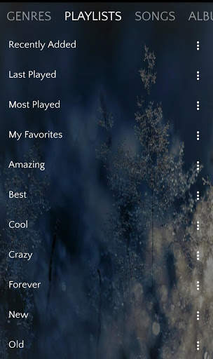Music Player screenshot 3
