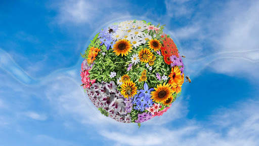 Spring Wallpapers : backgrounds hd screenshot 19
