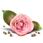 English Short love stories أيقونة