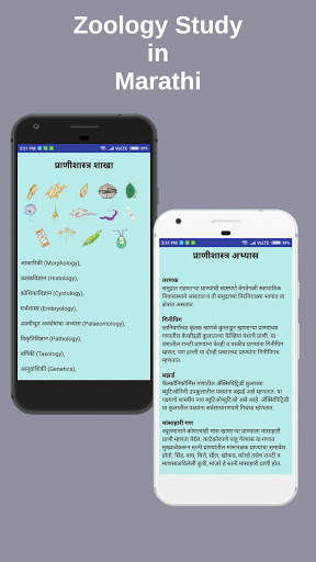 Zoology Study screenshot 8