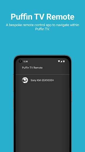 Puffin TV Remote screenshot 1