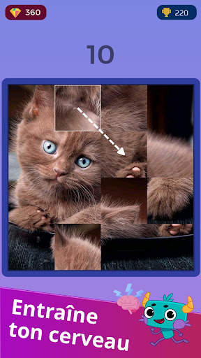 Jeux d'intelligence, puzzles screenshot 1