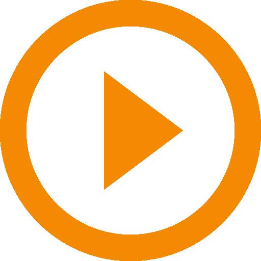 Video Player Companion 1.6