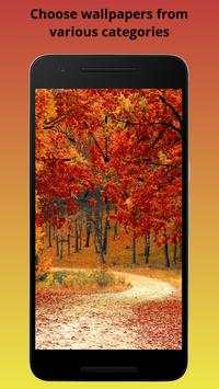 HD Phone Wallpapers screenshot 2