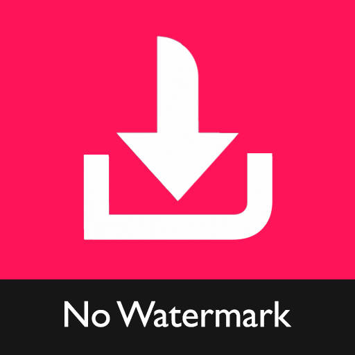 Video Downloader for TikTok - No Watermark TikMate 2.3.6
