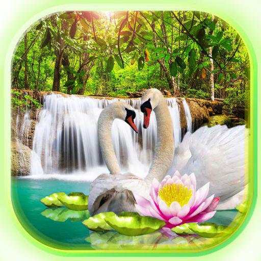 Swans Waterfalls Live Wallpaper 1.3