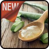 Aloe Vera Hair Benefits 2.4.0