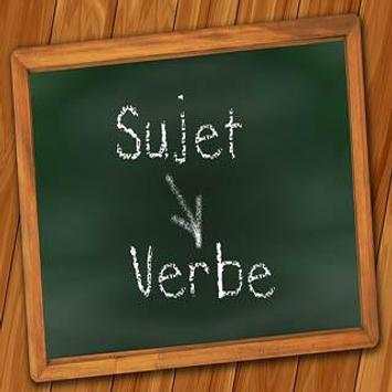 Grammaire Française скриншот 2