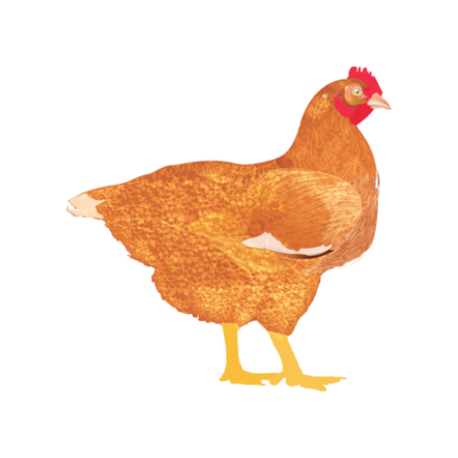 My Poultry Manager - Farm app आइकन