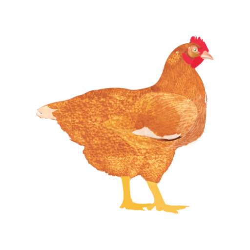 My Poultry Manager - Farm app 1.7.0