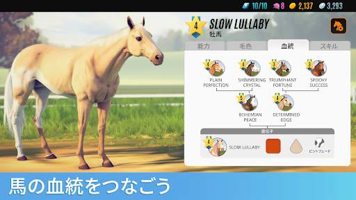 ライバル・スターズ ホース・レーシング screenshot 12